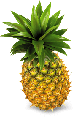 Real Story Pineapple 